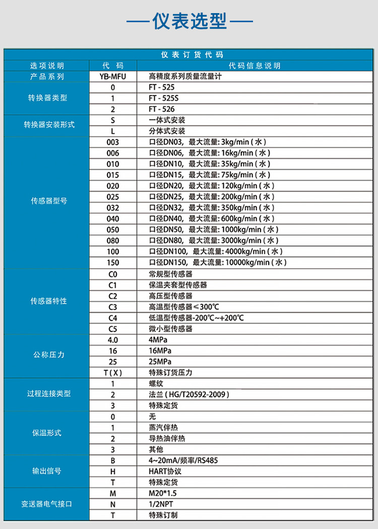 氣體質量流量計選項表