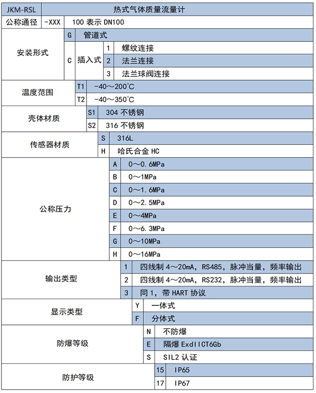 熱式氣體質量流量計選項表